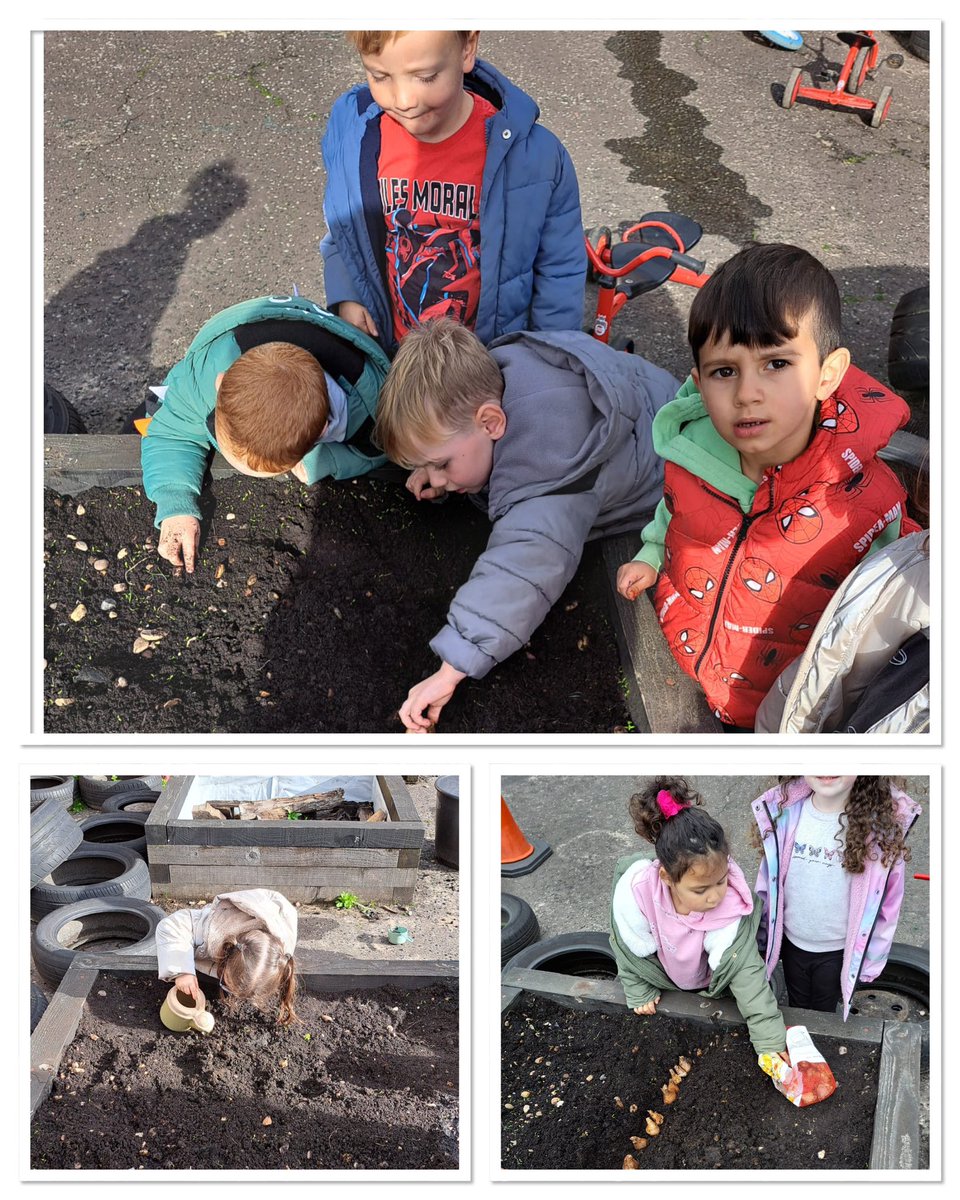 Linnvale Primary School and ELCC tweet media