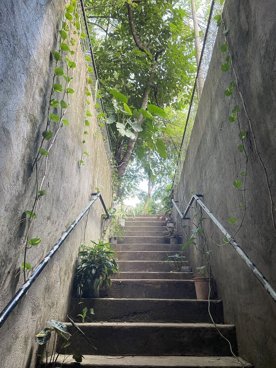 jadebufete's tweet photo. always a happy place and a jumpstarter for November 🌿🤎 https://t.co/22gtOKpMmj