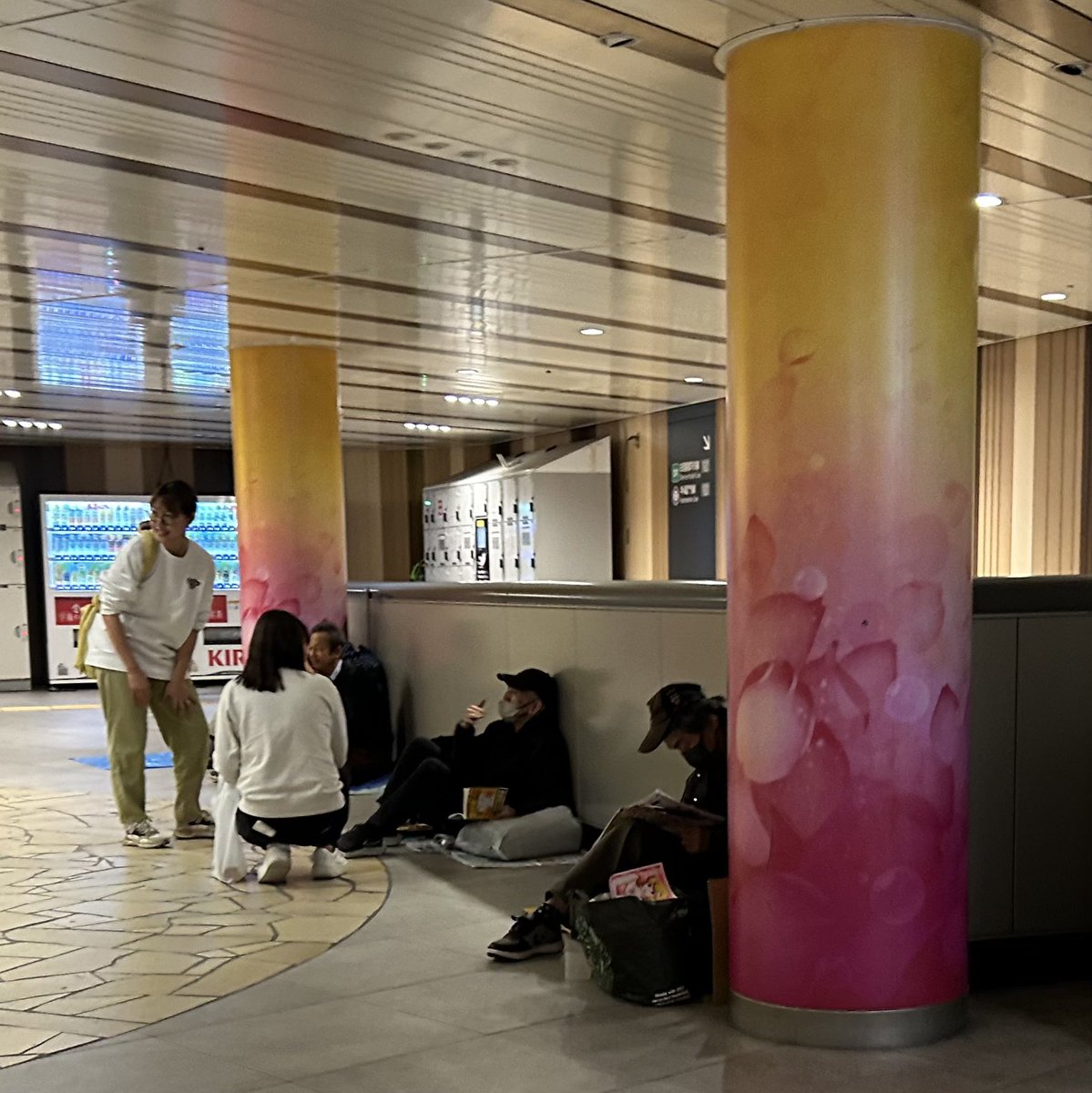 malyfred tweet media