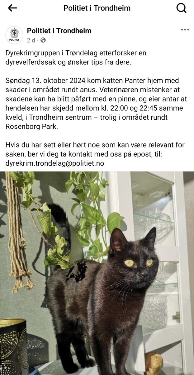 Det fins ikke monstre, sies det.
Jeg er ikke så sikker på det.