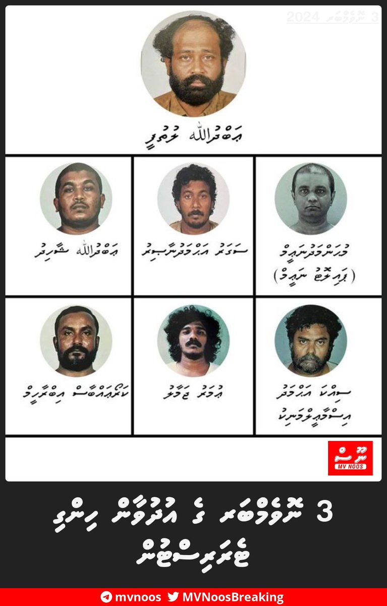 MVNoosBreaking's tweet photo. 3 ނޮވެމްބަރ ގެ އުދުވާން ހިންގި ޓެރަރިސްޓުން https://t.co/yhkzmzchKy