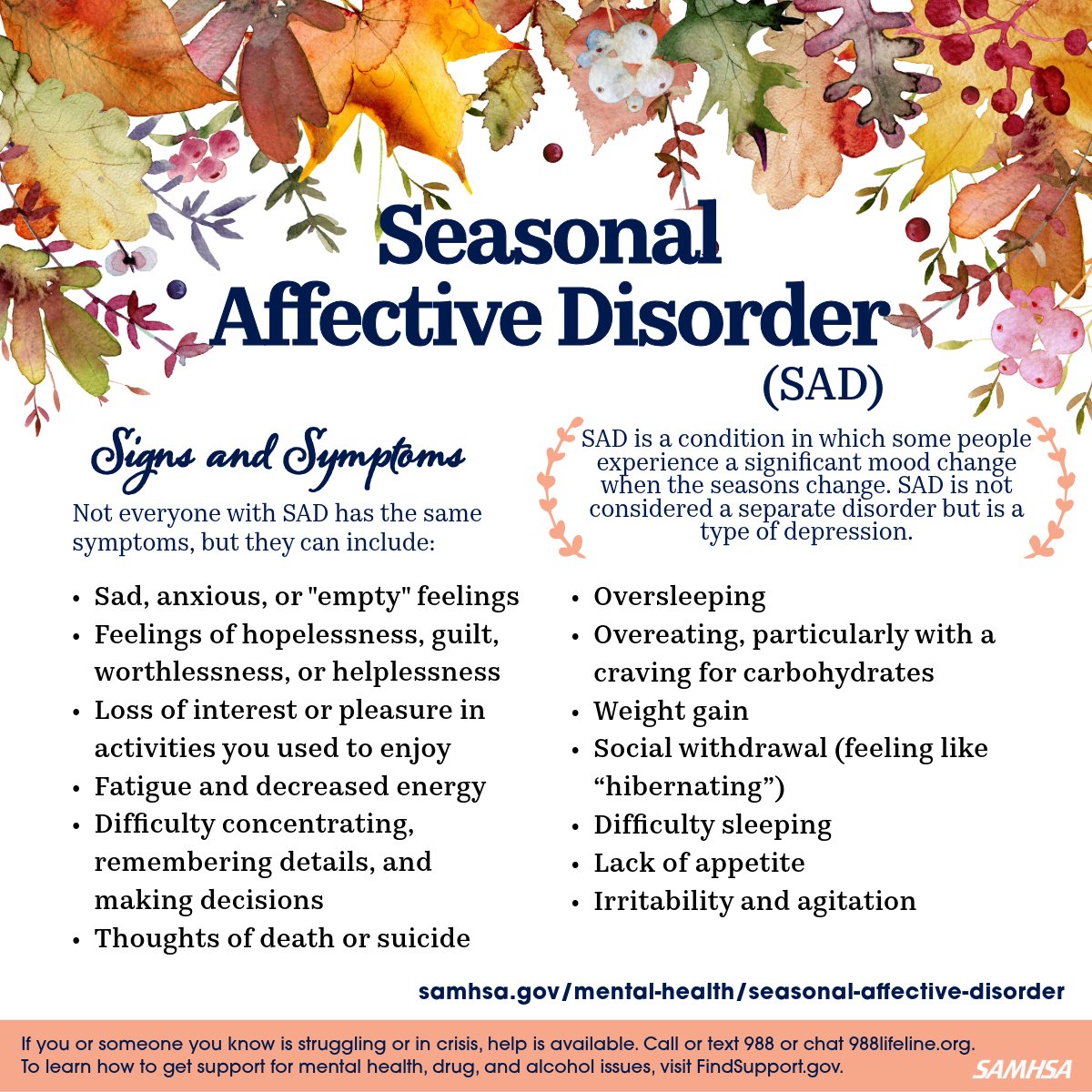 Assistant Sec. for Mental Health & Substance Use tweet media