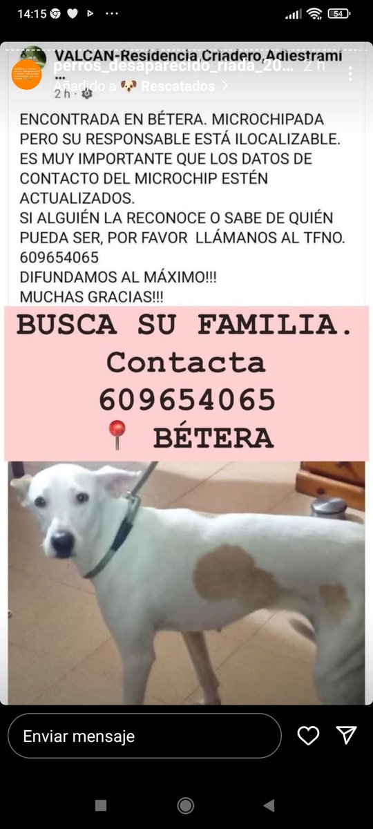 ⚠️ ENCONTRADA en #Betera #valencia ⚠️ 

#dana #SeBusca #Perroperdidodana