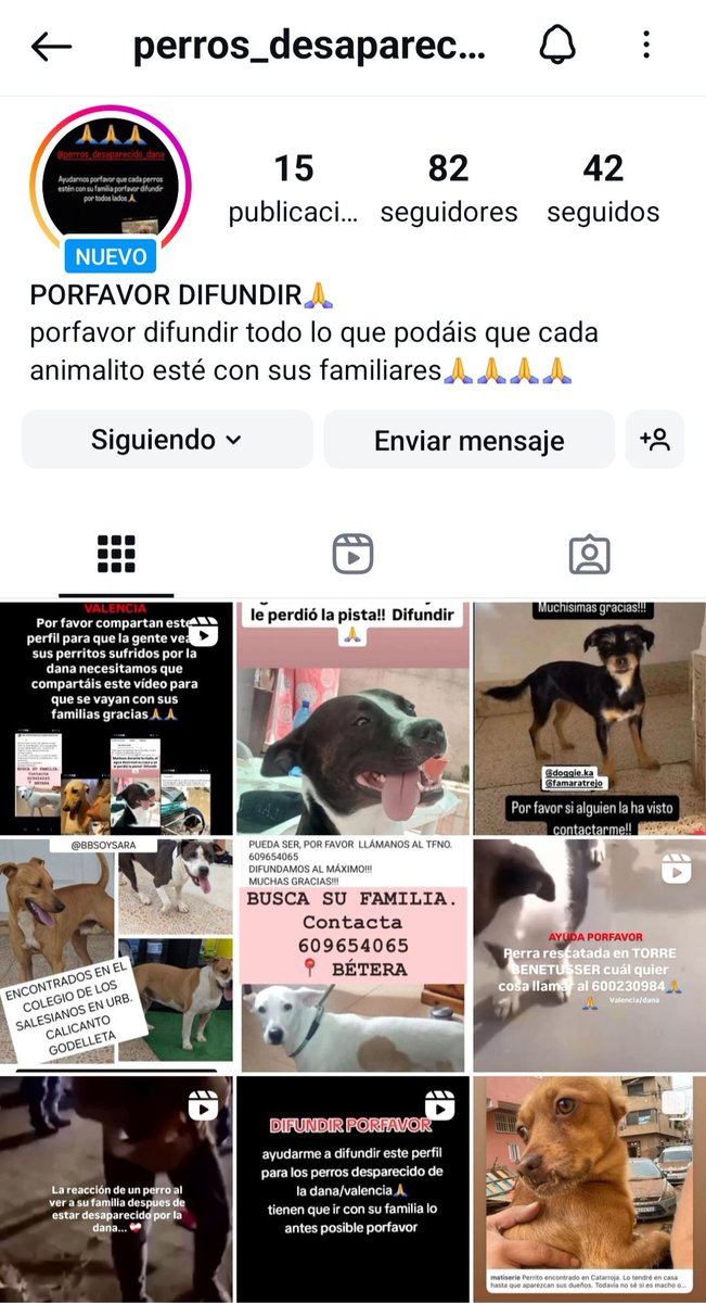 Layra_2009's tweet image. 🔴🆘️🐾 IMPORTANTE 👇 BUSQUEDA ANIMALES #DANA #VALENCIA #PERROSRIADA
INSTAGRAM ➡️ instagram.com/perros_desapar…

🔷️SE RUEGA DIFUSIÓN. GRACIAS