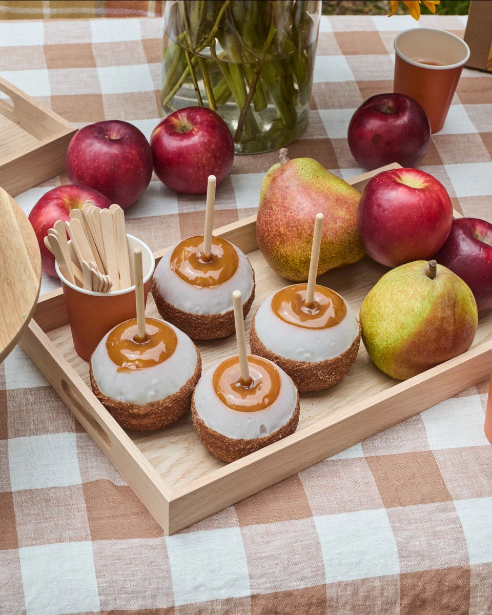 Grateful for the little things this fall 🍏🍂