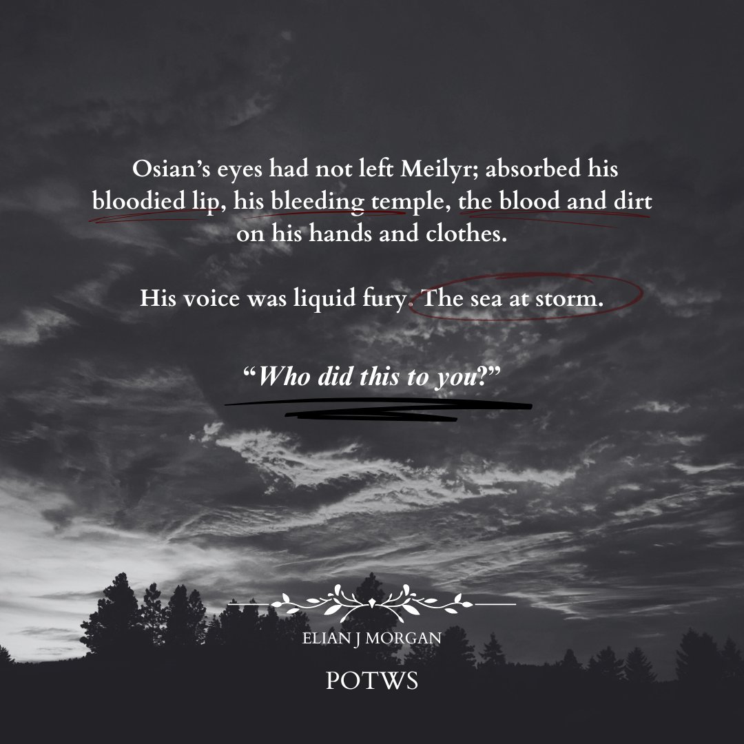 A MARVELLOUS LIGHT x WINTER'S ORBIT

✨Achillean romantic fantasy murder mystery
💍Marriage of convenience
🔥SLOW BURN AF
🏰Medieval castlecore
🌿Emotion-based nature magic (anxiety rep)
🏴󠁧󠁢󠁷󠁬󠁳󠁿Wales/Cymru-inspired world (all the language &amp; identity feels)

#questpit #AG #OS #A #F #RF
