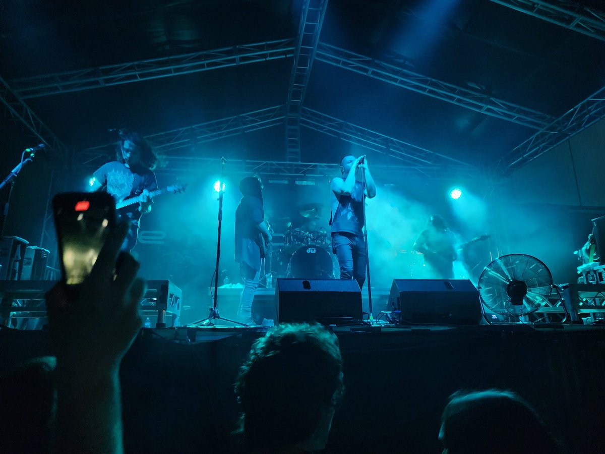 Matt (insano) tweet media