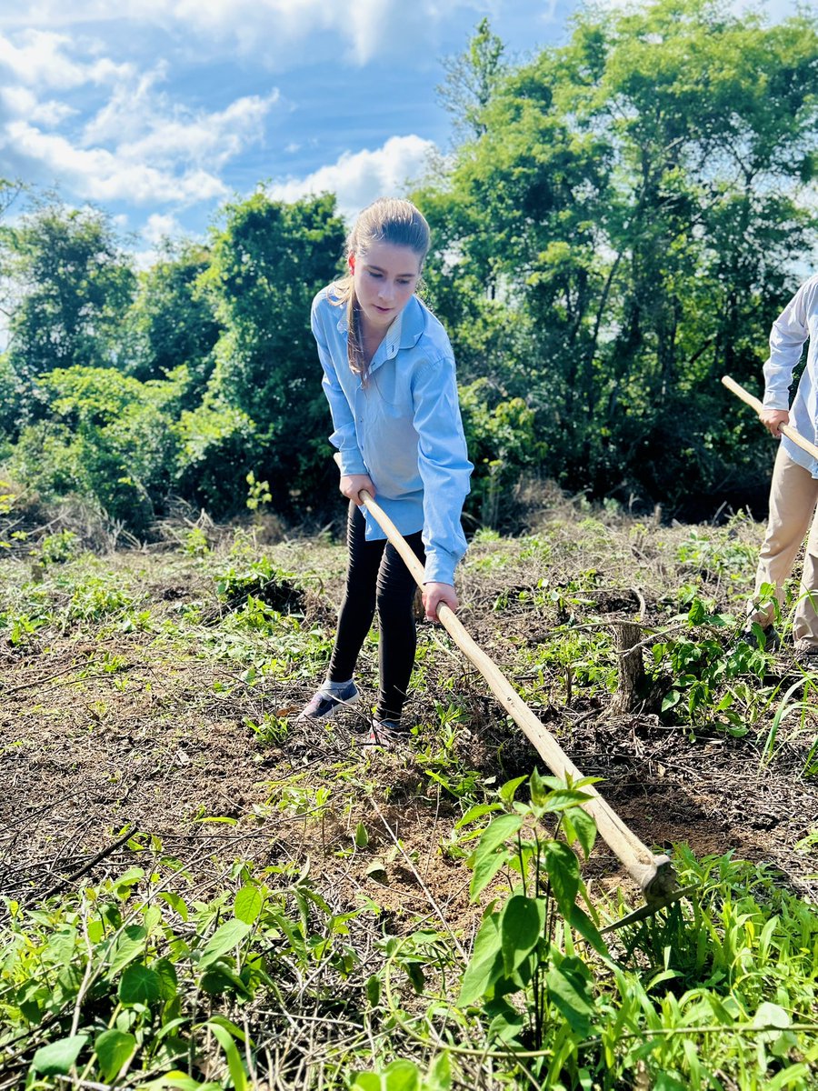 Bom dia!👩🏻‍🌾