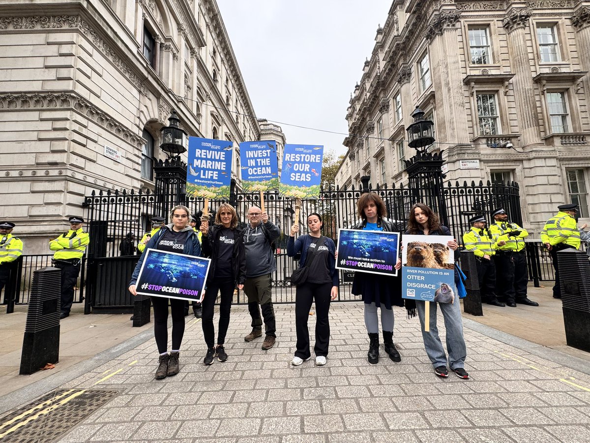 mcsuk's tweet image. What a turnout! Thousands of people have marched today for our rivers and seas. 💙

Thank you to our staff and volunteers who helped give our ocean a voice and demand action from UK governments. Together, we can stop pollution and restore seas and rivers. #MarchForCleanWater