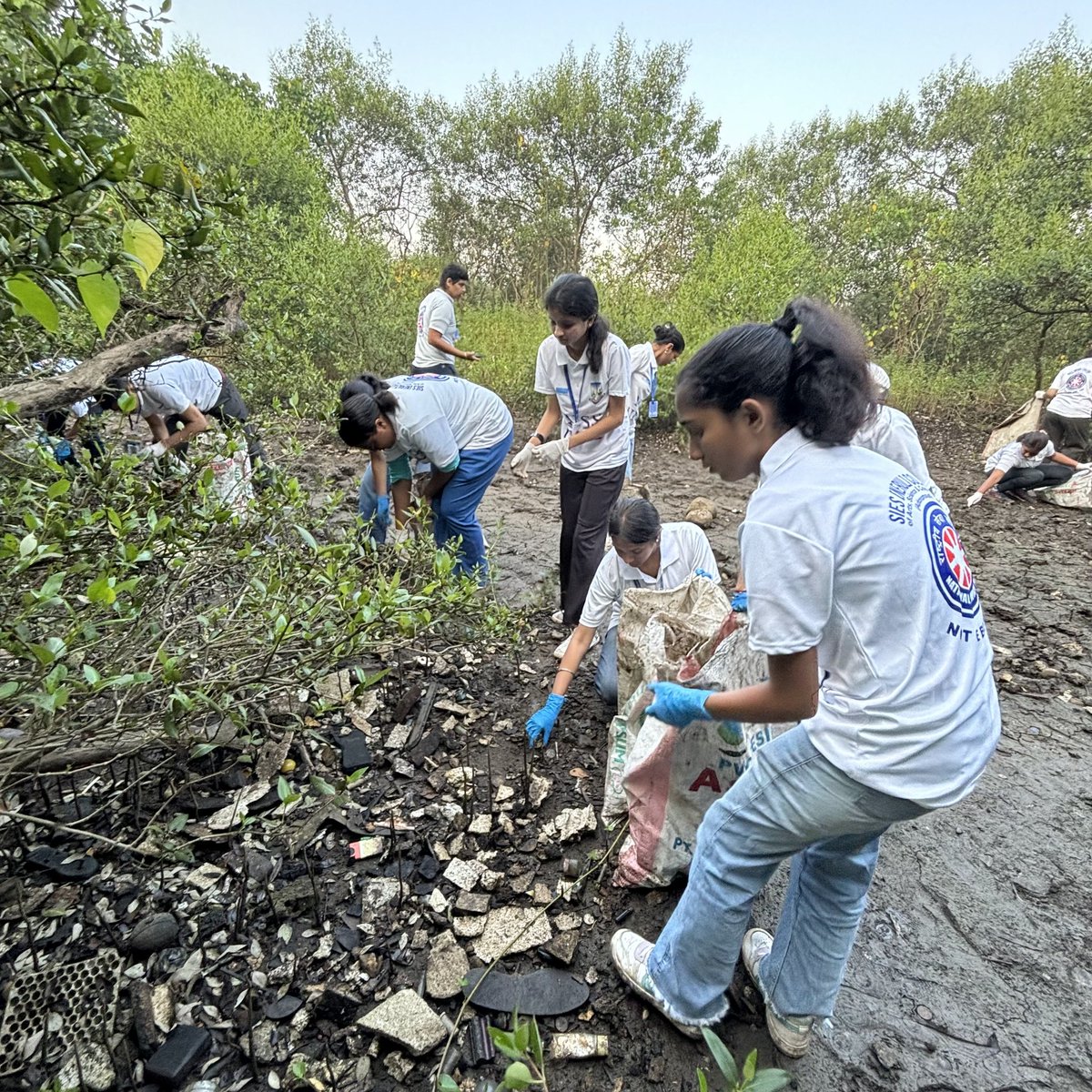 EnvironmentLife's tweet photo. Week 220 #MangrovesCleanupDrive
During Mangroves Cleanup Drive, we discovered an idol of Bhagwan Gautam Buddha. It's disheartening to see items like this discarded carelessly. Please, think carefully before purchasing idols and choose sustainable options.

Waste ???

#ThinkWise https://t.co/zYlOVGI9hS
