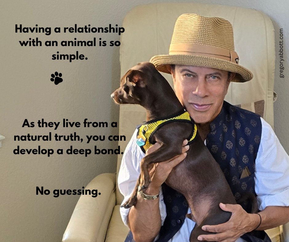 Here is a song I haven't posted often that a listener has requested. Be sure to vote! Let's try and bring some harmony back into the picture. 🎶

"Back To Stay" by Gregory Abbott
#linkinbio #Sunday #requests #vote    #musician #animals #dogs #harmony #mansbestfriend