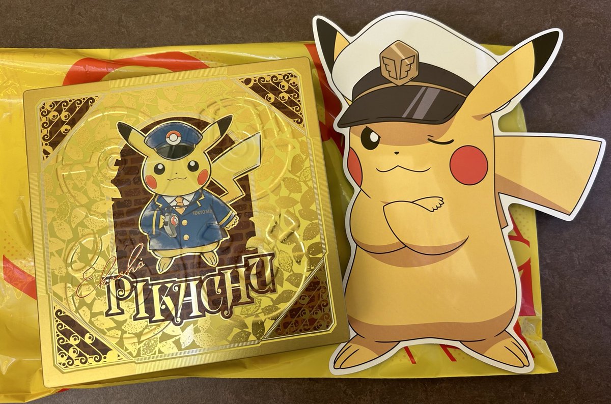 ポケモン天文台限定 ほしぞらピカチュウ2個 ノート•認定書付き2冊