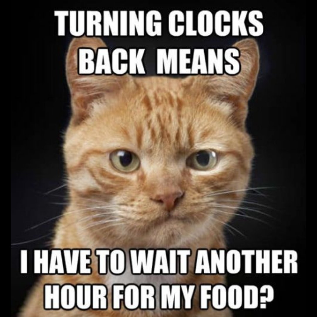 Artwork of a white cat person standing on a trash-covered mountain on  Craiyon, image size:1080x1080