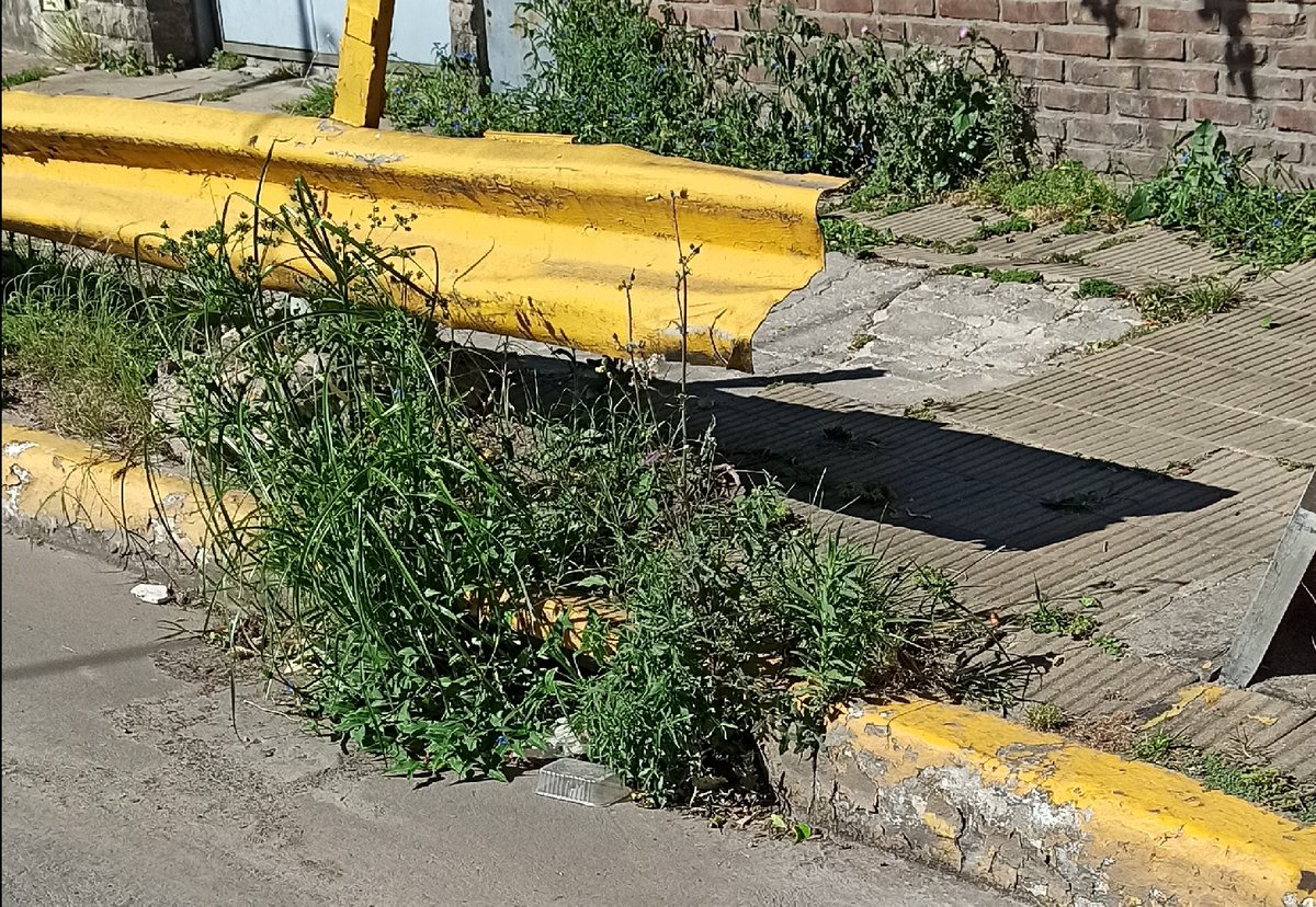 andreco68's tweet photo. @MunicipioLdeZ Se olvidaron de esta alcantarilla.
Brandsen y 9 de Julio. (a la salida del bajo nivel)
Ya se convirtió en un macetero de la mugre que tiene https://t.co/gGtuykYWVb