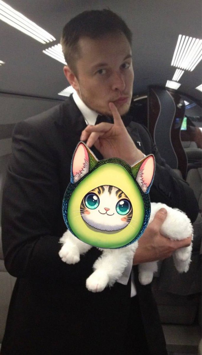 Elon’s cat

0x1a3A8Cf347b2bF5890D3D6A1B981c4f4432C8661