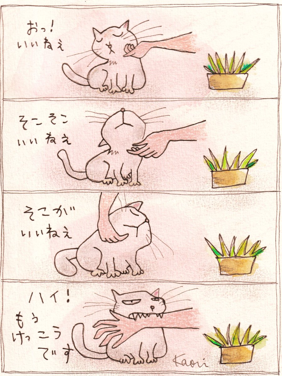 #4コマ漫画 #猫
猫という生き物😺✨ 