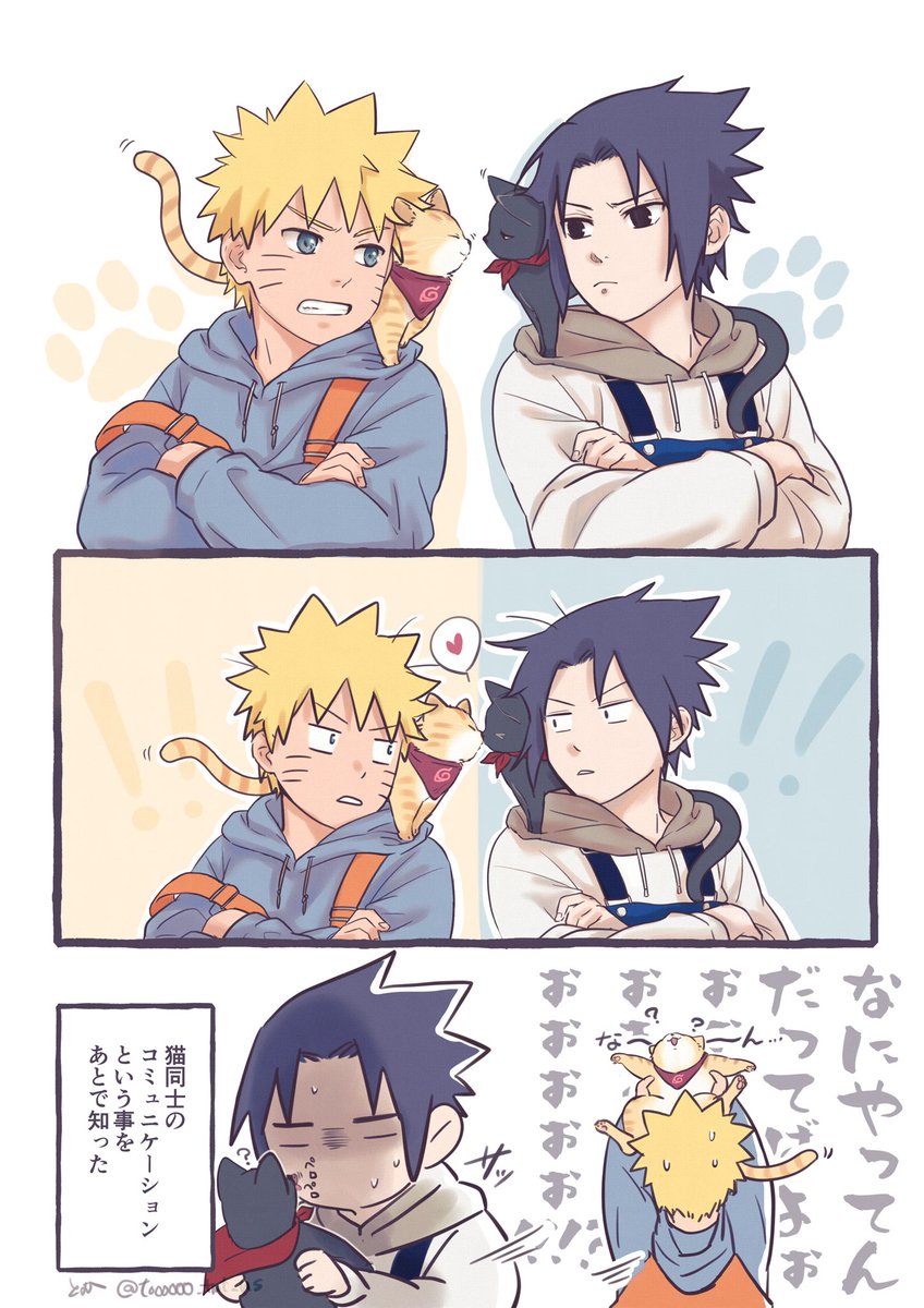 🍥🍅🐈🐈‍⬛