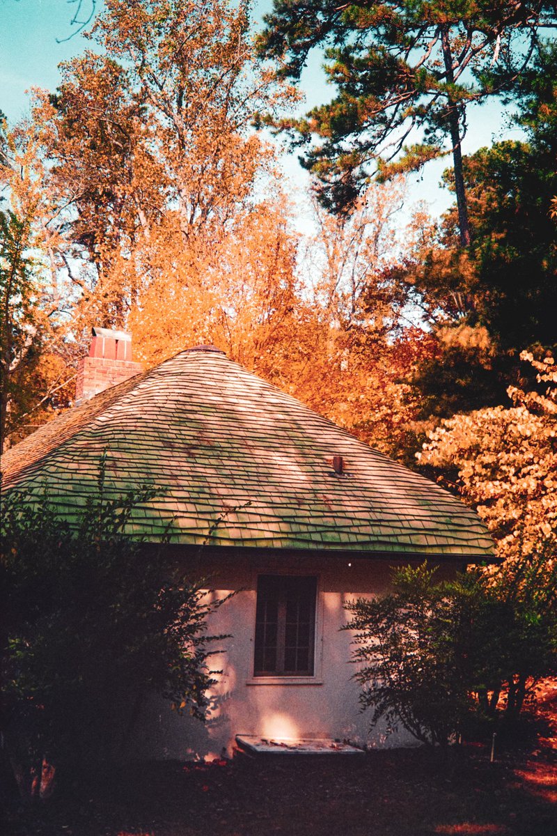 Ryan Williams tweet media