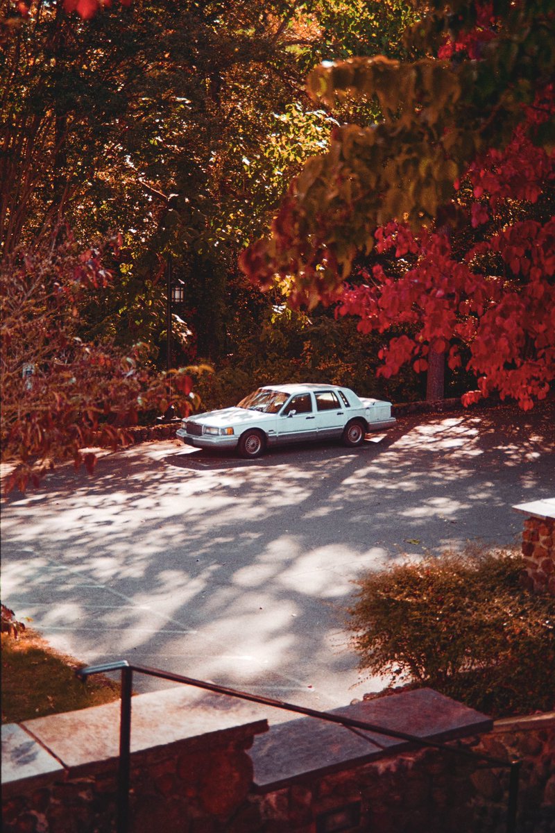 Ryan Williams tweet media