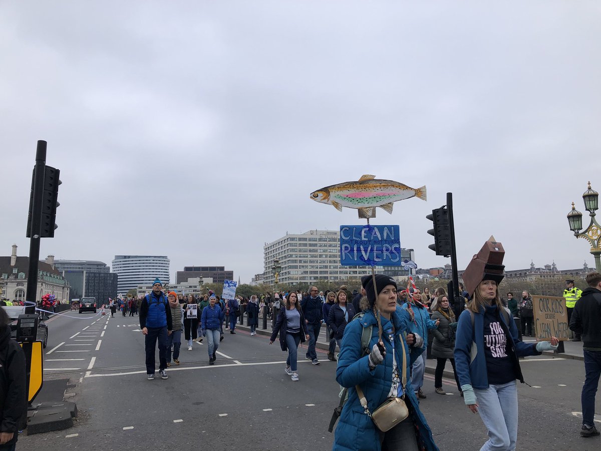 Chelsea Kayak Club tweet media