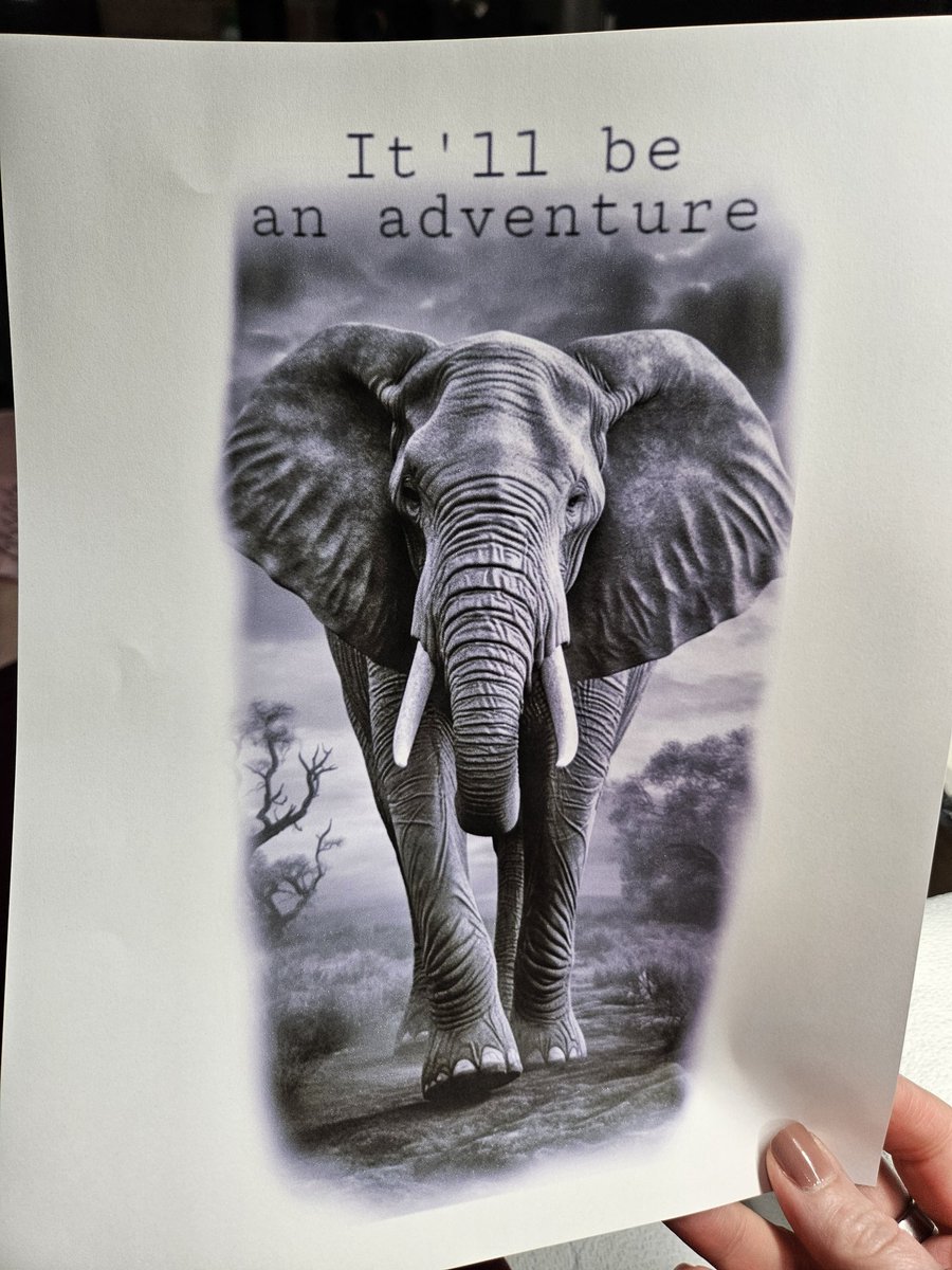 Hi. I'm Becky. 🐾 tweet media