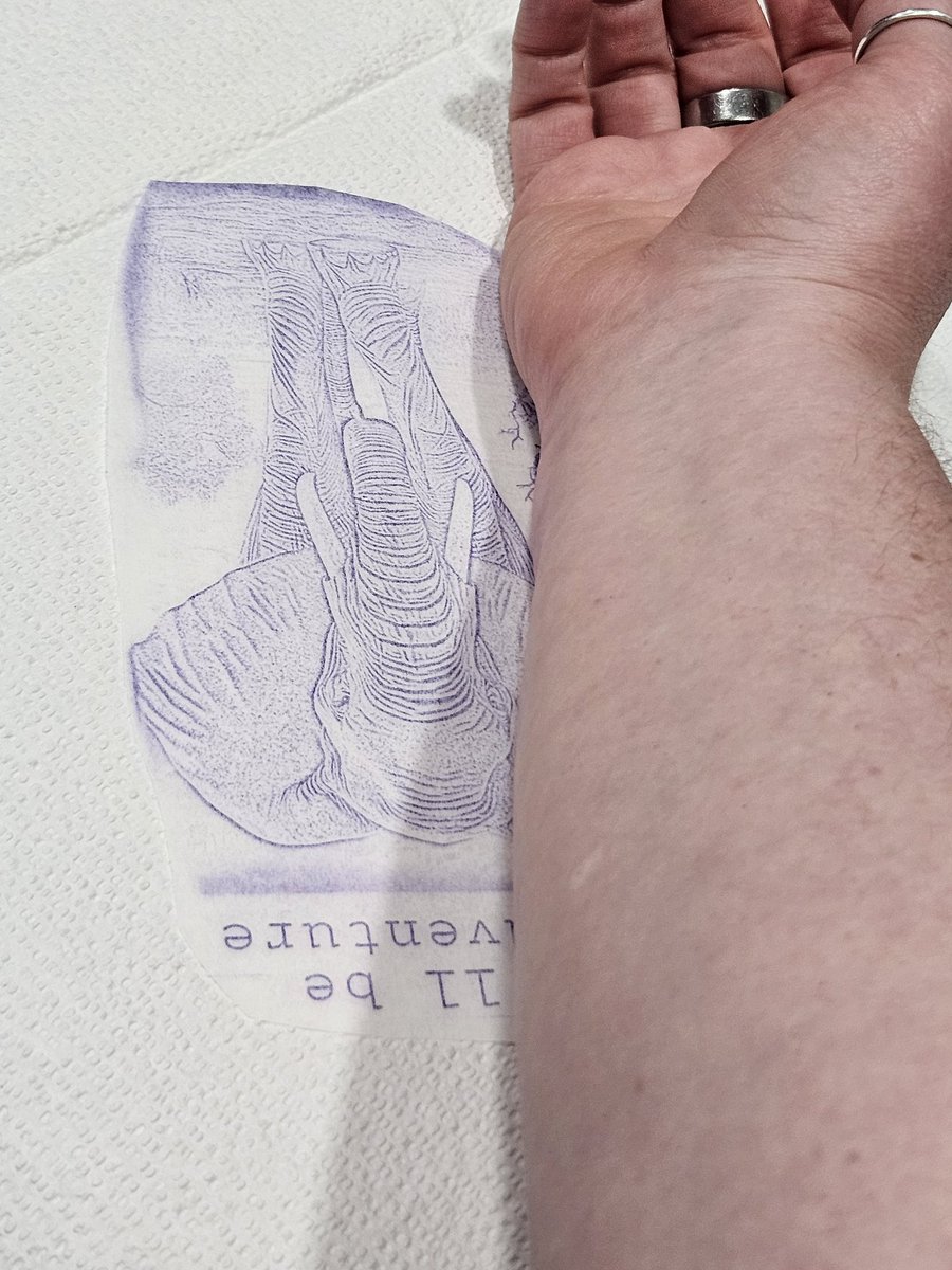 Hi. I'm Becky. 🐾 tweet media