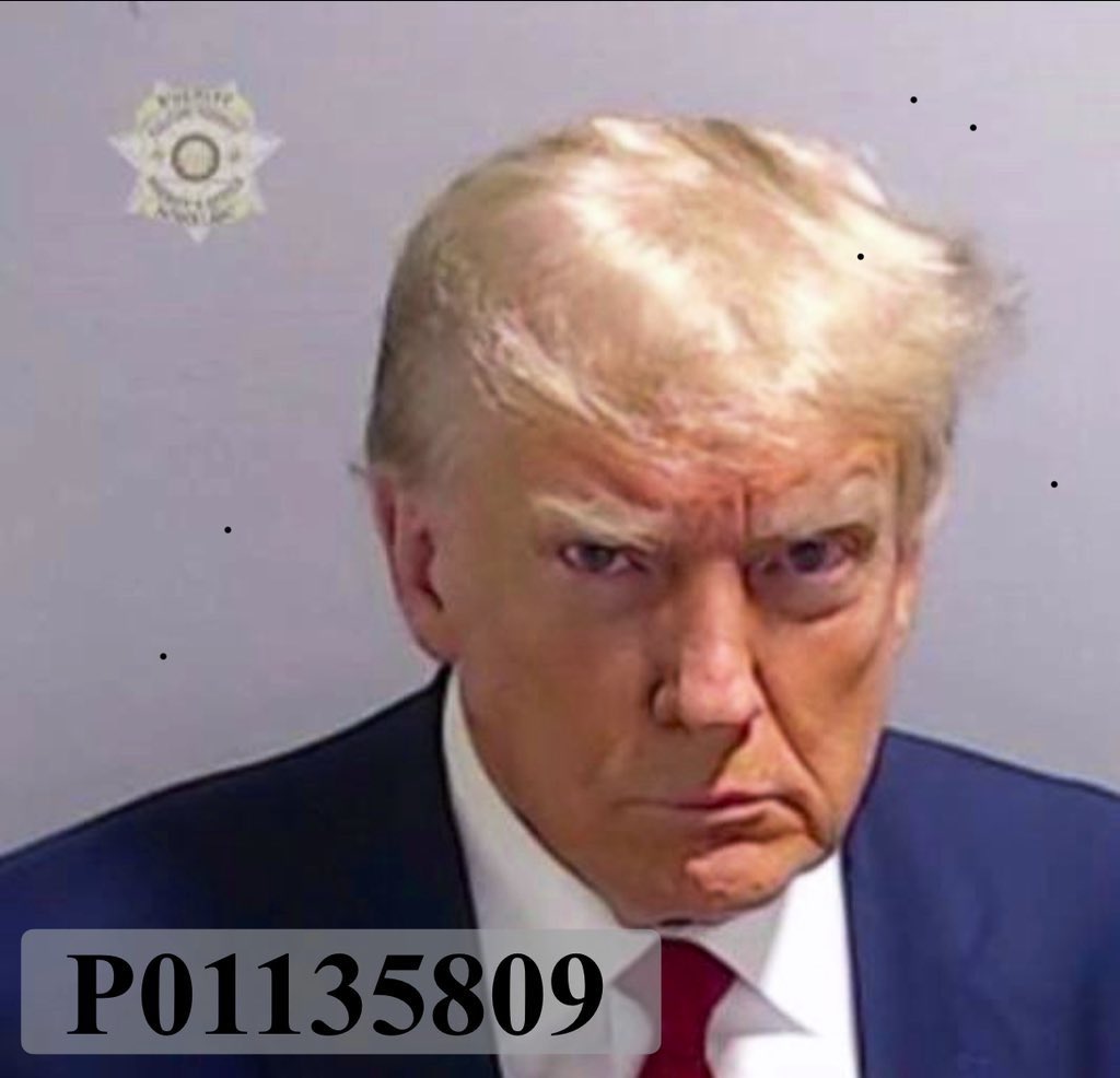 Donald Trump belongs behind bars, not on our presidential ballot.

Raise an American flag if you agree!🇺🇸