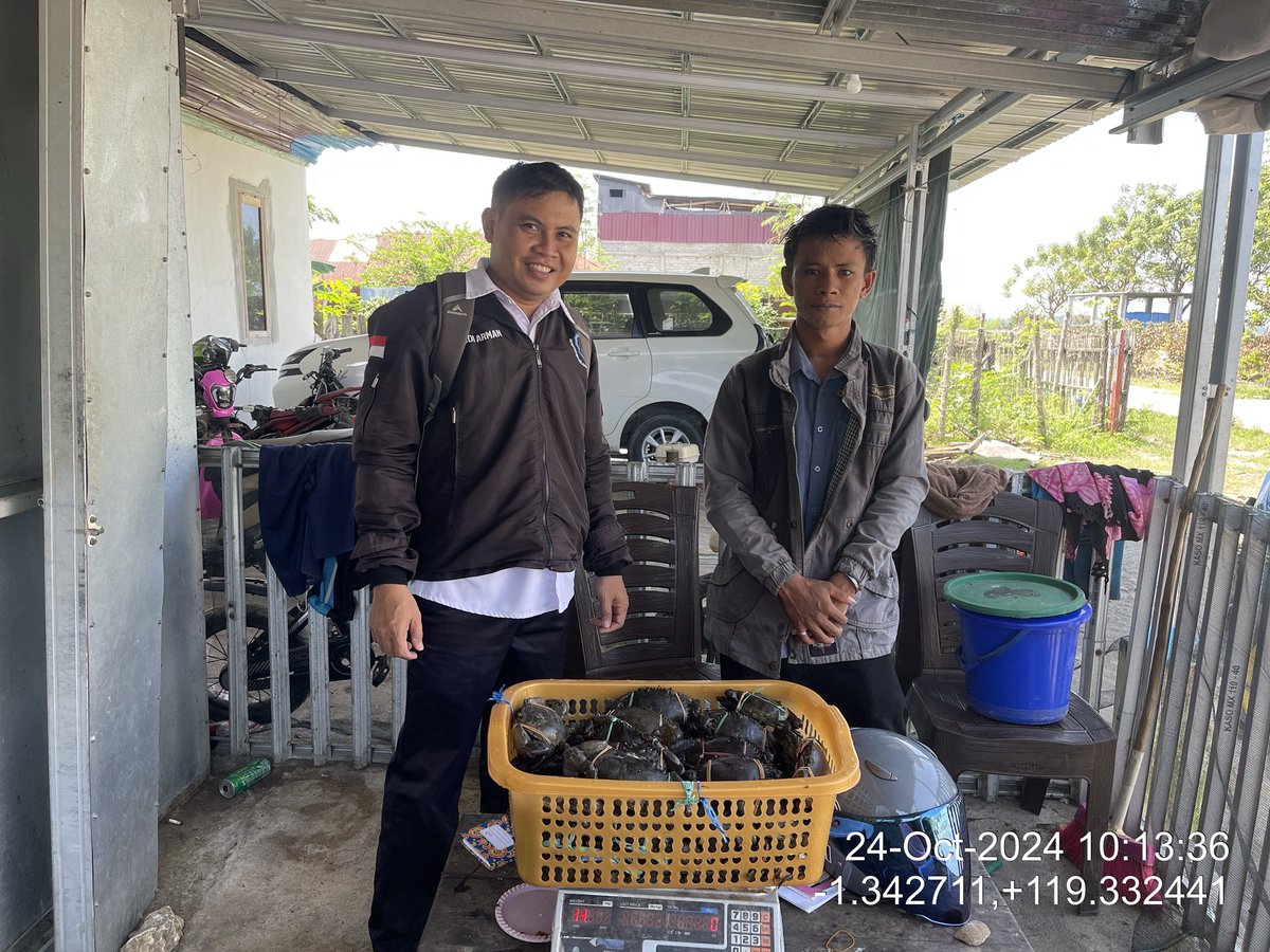 ammank_thoogie's tweet photo. Kamis (24/10), Andi Arman, Luhkan Kab. Pasangkayu, di KUB Lolo Tallasa Ds Tikke, melaporkan tangkapan Kepiting, dengan alat seser, Oktober 2024 sebanyak 60 kg, harga jual 50000/kg #GiatLuhkanSatminkalMaros #Pasangkayu #Tangkap https://t.co/ZpLIGWWVZr
