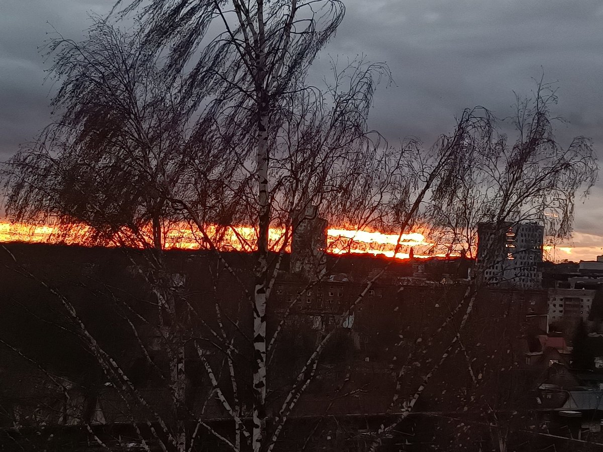 OfficialScruby's tweet image. I suppose its a view?