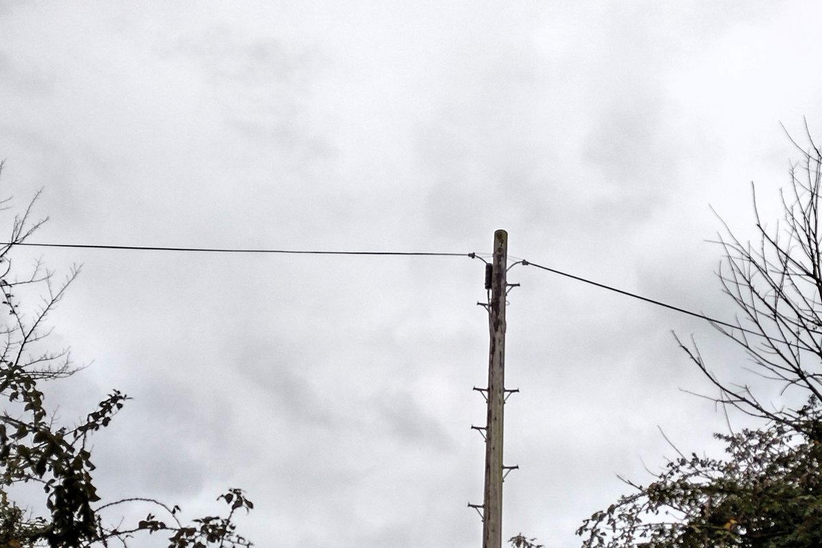 #FallenTree BT/Open Reach have managed to restore their cable to an aerial route without the need to clear further debris. However our Management Committee and Trustees will consider what further tidying up actually needs to be done. If you have views on this, please DM me.