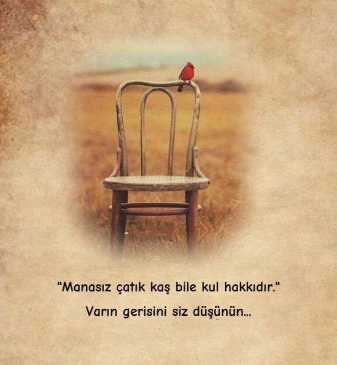 birteraphy's tweet photo. Manasız çatık kaş bile kul hakkıdır. Varın gerisini siz düşünün. https://t.co/tAVeSlEOQG