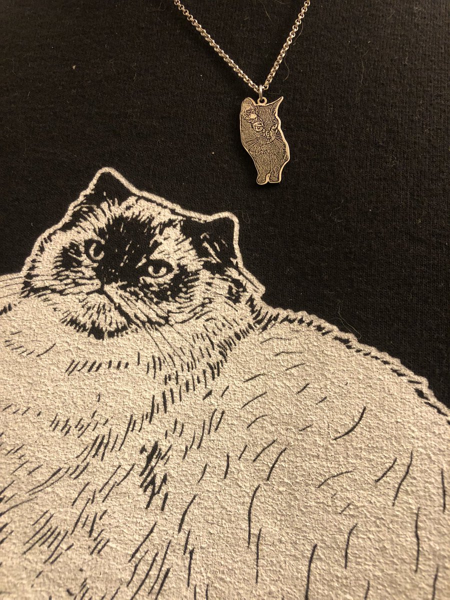 @serenitycarr.bsky.social tweet media