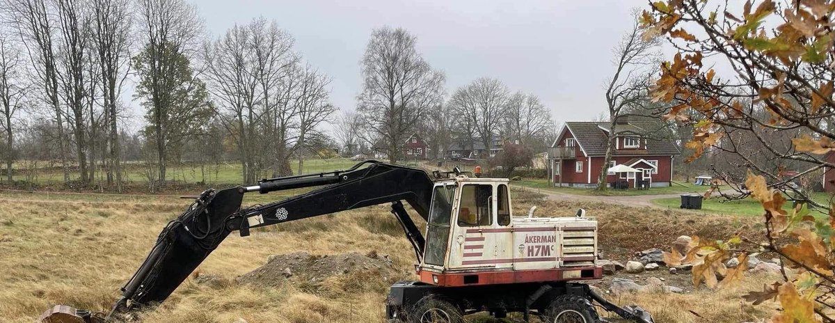 Jeg bliver virkelig ofte spurgt, om jeg er i familie med en gravko. Og svaret er: Naturligvis. Kan I ikke se ligheden?