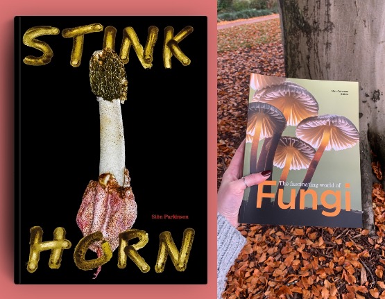 RBGE Creative Programmes (@rbgecreative) on Twitter photo Join us for Scottish Book Week 2024!
We'll be hosting 'Fungi Talks: Stinkhorn!' on Wednesday 20th November.
eventbrite.co.uk/e/fungi-talks-…
<a href="/TheBotanics/">Royal Botanic Garden Edinburgh</a> <a href="/scottishbktrust/">Scottish Book Trust</a> <a href="/DeafAction/">Deaf Action</a> Join us for Scottish Book Week 2024!
We'll be hosting 'Fungi Talks: Stinkhorn!' on Wednesday 20th November.
eventbrite.co.uk/e/fungi-talks-…
<a href="/TheBotanics/">Royal Botanic Garden Edinburgh</a> <a href="/scottishbktrust/">Scottish Book Trust</a> <a href="/DeafAction/">Deaf Action</a>