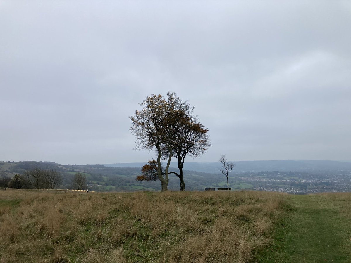 Phil_Daniels's tweet image. One of those Joy Division days. Grey and very still #joydivision #hillwalking