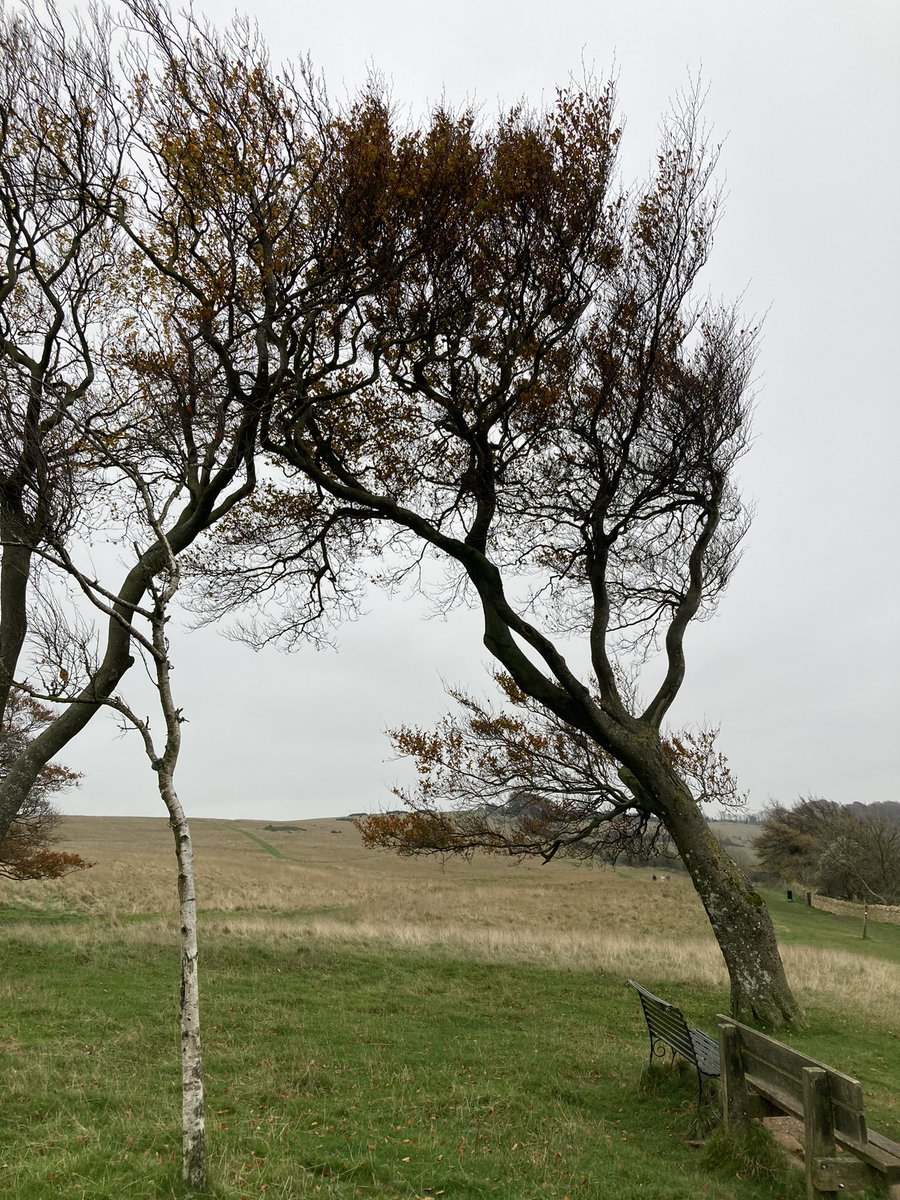 Phil_Daniels's tweet image. One of those Joy Division days. Grey and very still #joydivision #hillwalking