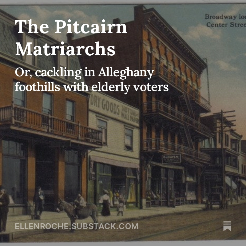 Ellen Roche tweet media