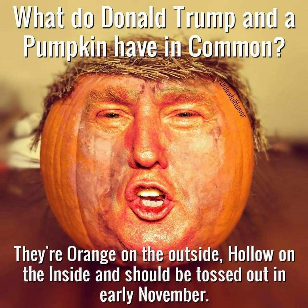 Pelicanlady's tweet photo. @guelphgirlchris https://t.co/hXkLwo2Lte