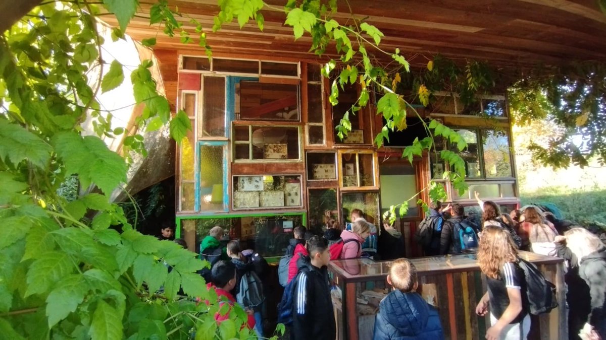 2 jours d'école ouverte durant ces vacances d'octobre 2024 avec les élèves volontaires de 6ème/5ème.
-Souvenirs de la journée au Parc animalier Sainte-Croix 🐺🦝 🦬  🕷️avec le safari-train.