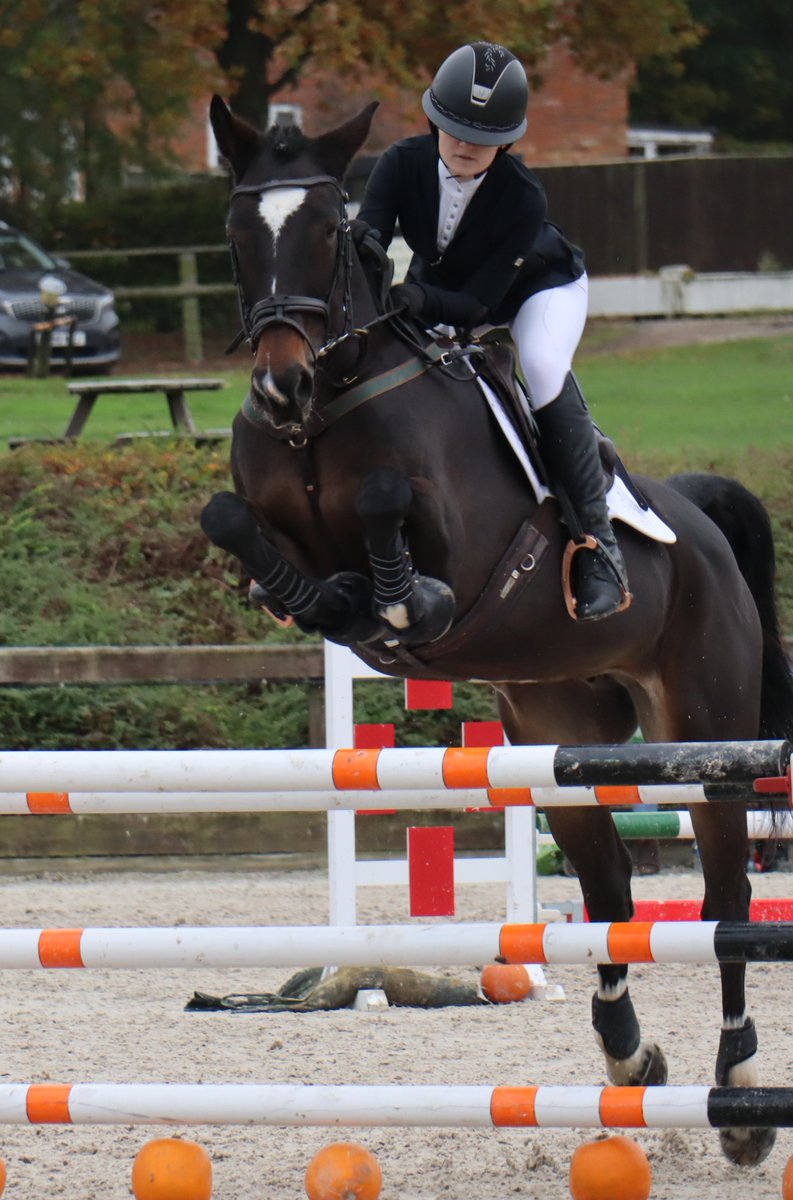 Pipers Equestrian tweet media