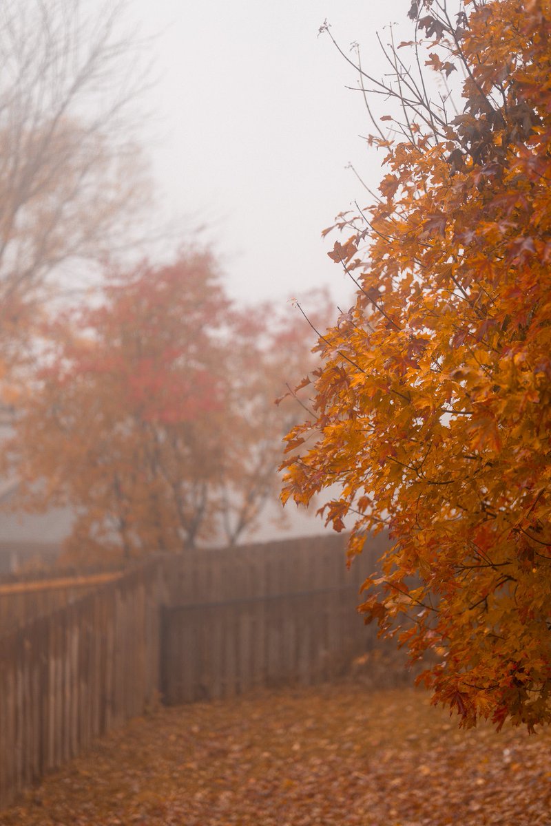 Shane Lundberg tweet media