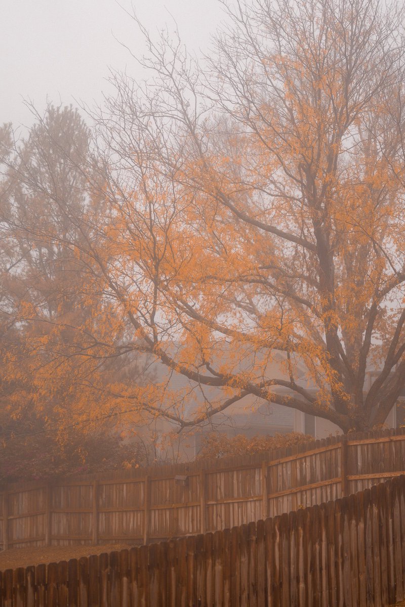 Shane Lundberg tweet media