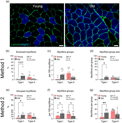 Agingdoc🩺Dr David Barzilai🔔MD PhD MS MBA DipABLM tweet media