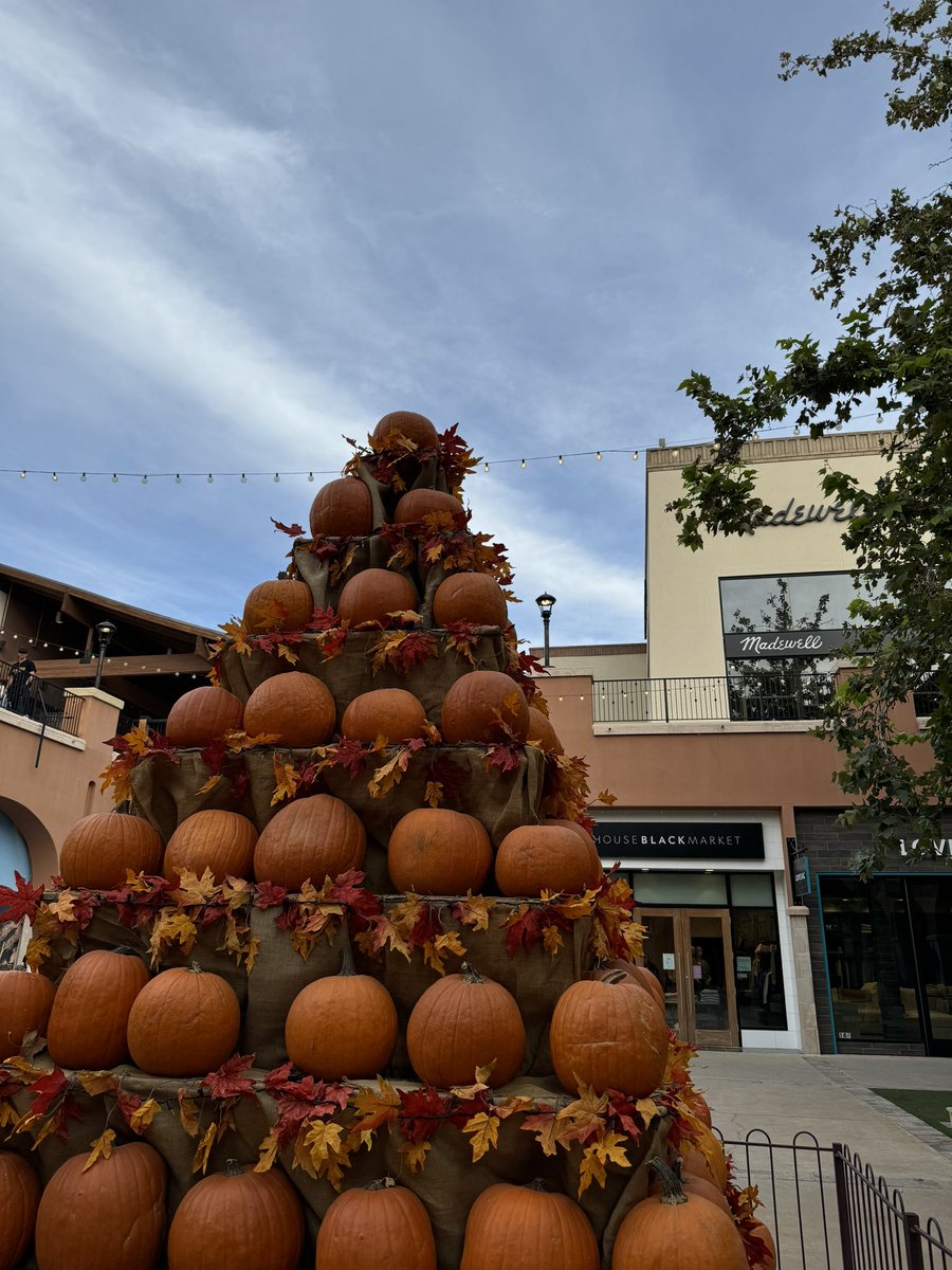 NancyAnahitr's tweet photo. Arizona 🎃 https://t.co/pm4T0uc5Bf