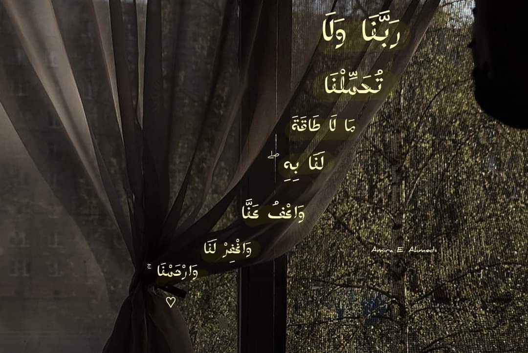 نُسَيبة (@nosaibayoussef) on Twitter photo 