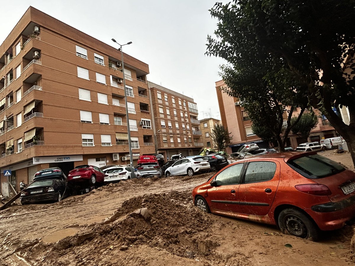 NEGA 🔻 🇵🇸 tweet media