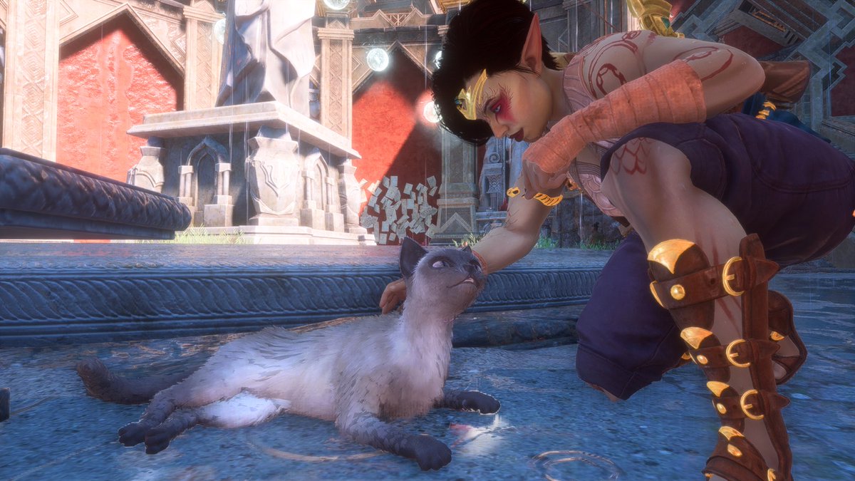 patcheschance's tweet image. important news from dragon age veilguard