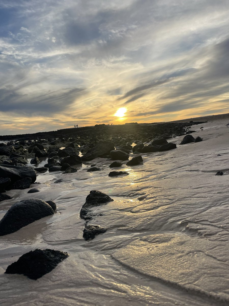 Capste66mi's tweet photo. Fuerteventura è sempre il mio eterno paradiso….. https://t.co/yGtmZoLyQl