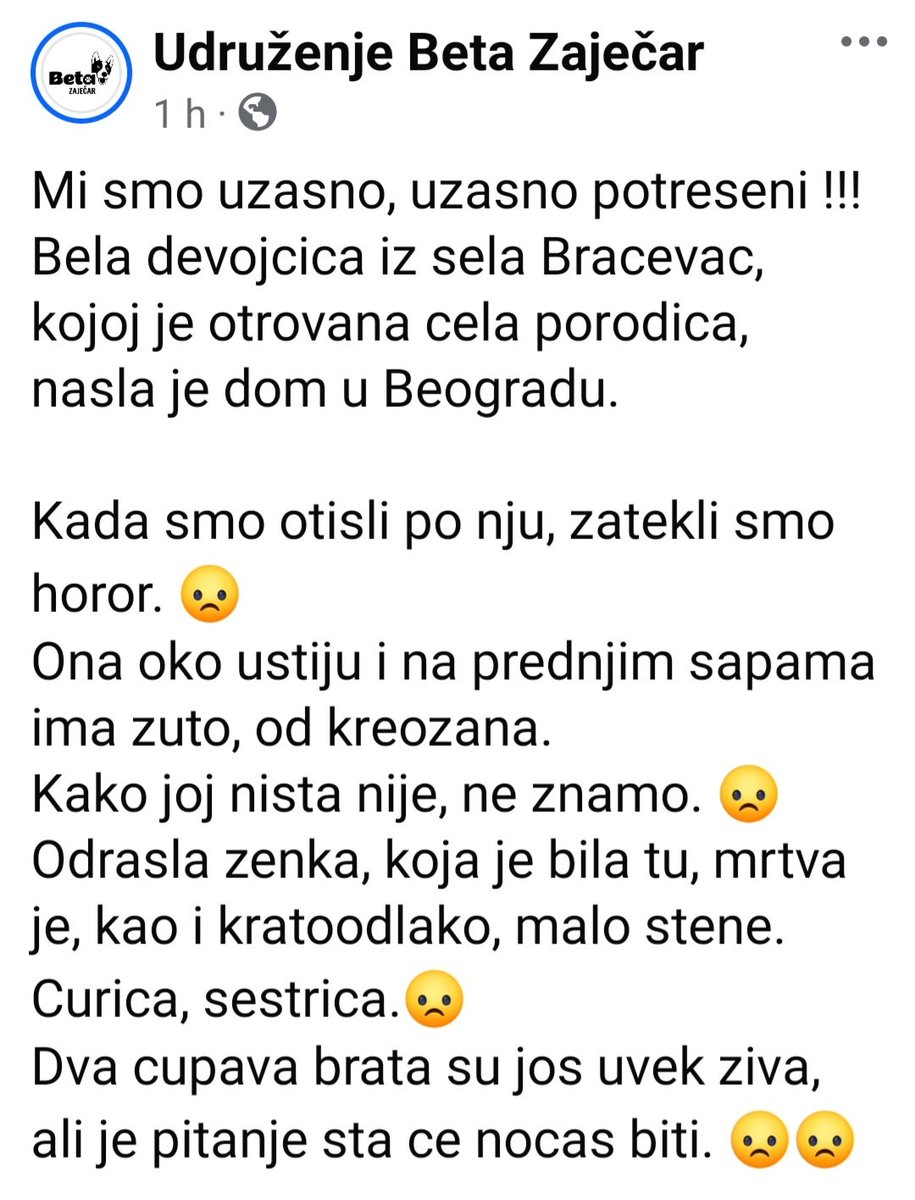 Julija Apulija (ex Saluki Širlica) 🐾🌠 (@kinosukiyuki) on Twitter photo 