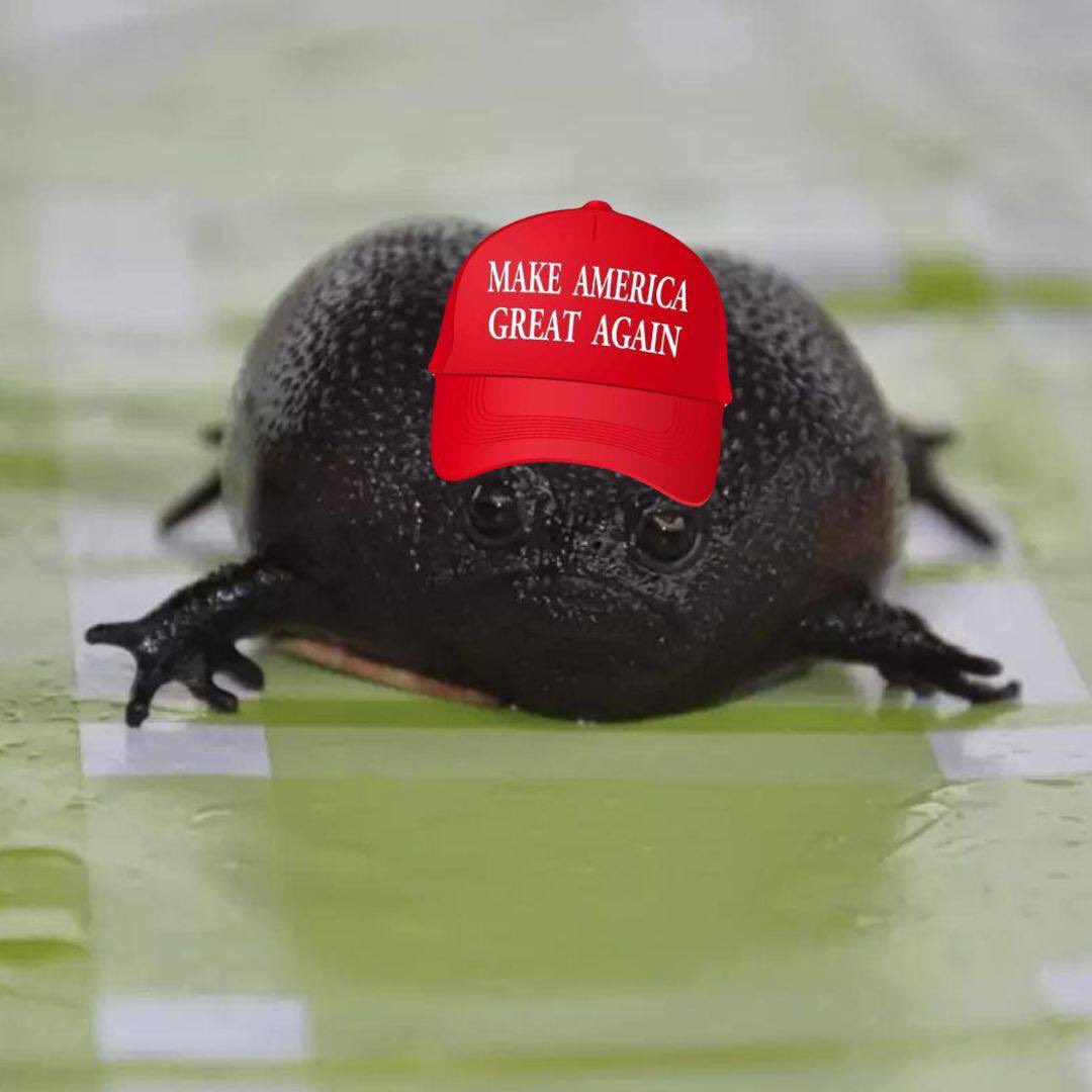 Xeth017's tweet photo. @vydamo_ #Onigchi stands with Trump in fighting for the rights of Black frogs and making America great again https://t.co/MINNuMdTg0